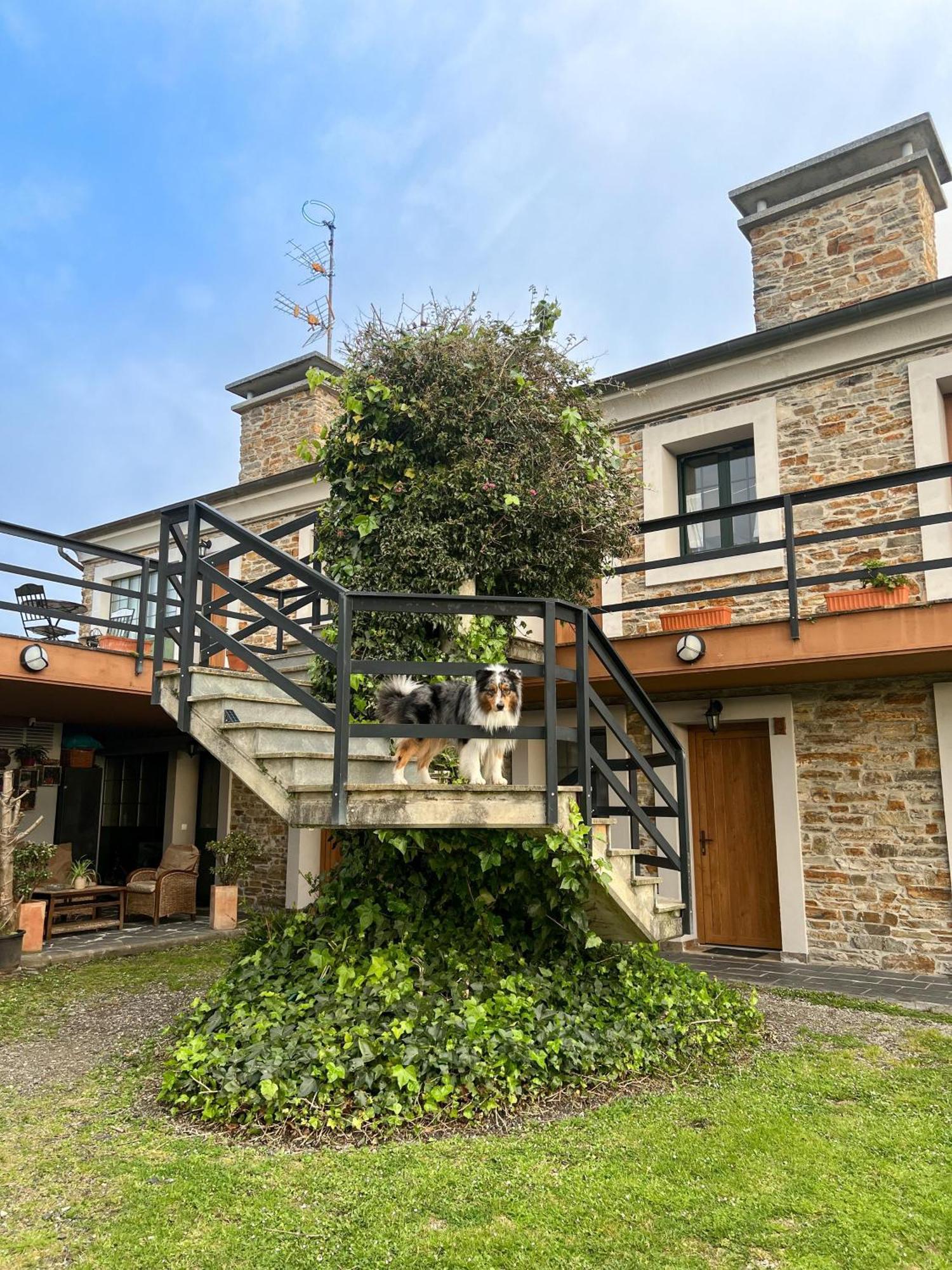 Apartamentos Castello Cartavio 外观 照片