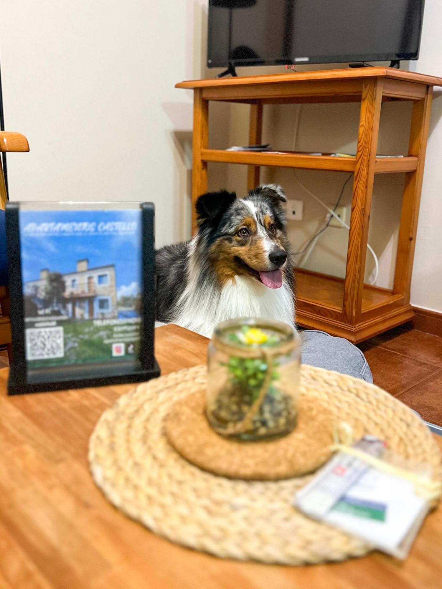 Apartamentos Castello Cartavio 外观 照片